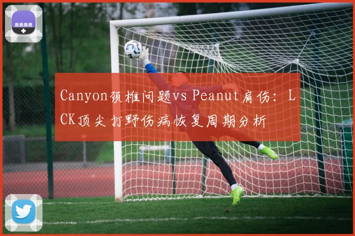 Canyon颈椎问题vs Peanut肩伤:LCK顶尖打野伤病恢复周期分析